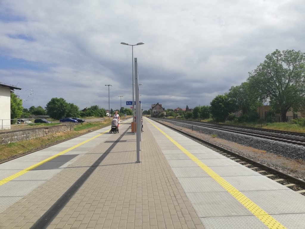 Badania na Półwyspie Helskim