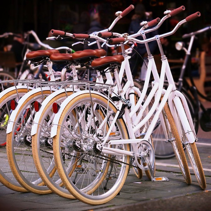 ELENA – w trosce o naturę